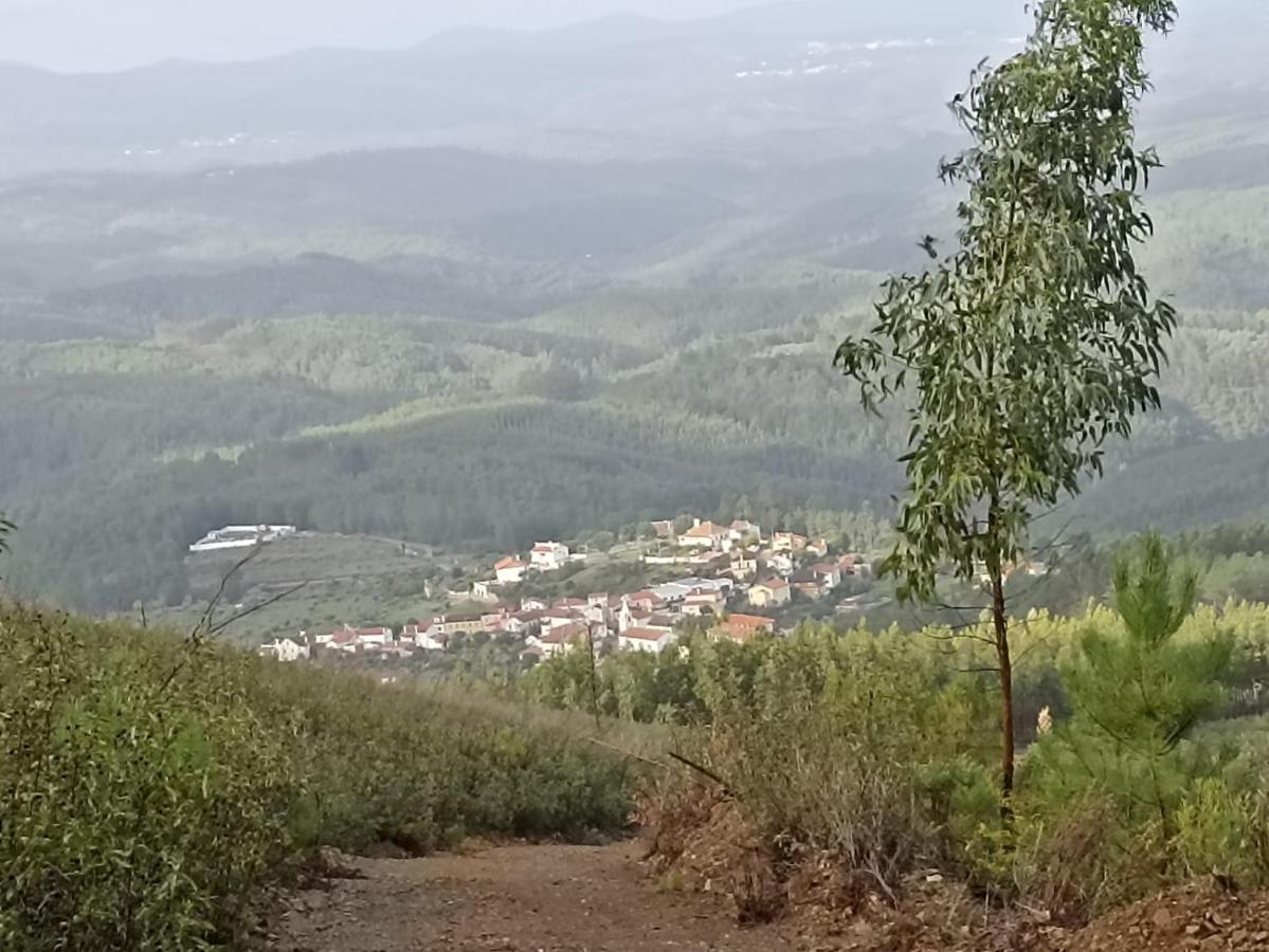 Apartamento Casa Xara Proença-a-Nova Exterior foto